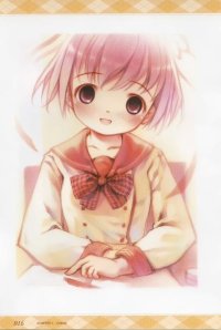 BUY NEW moetan - 136409 Premium Anime Print Poster